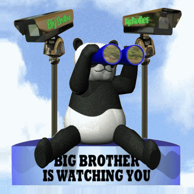 Big Brother