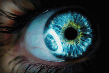 Eyes Gif GIF - Find & Share on GIPHY