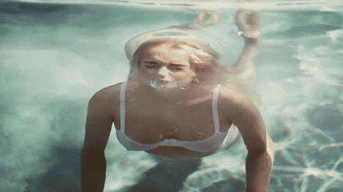 Poolgif GIFs Find Share On GIPHY