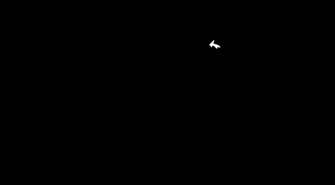 project-gif