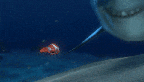 giphy-downsized-large.gif