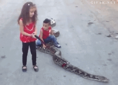 Image result for snakes kids gif