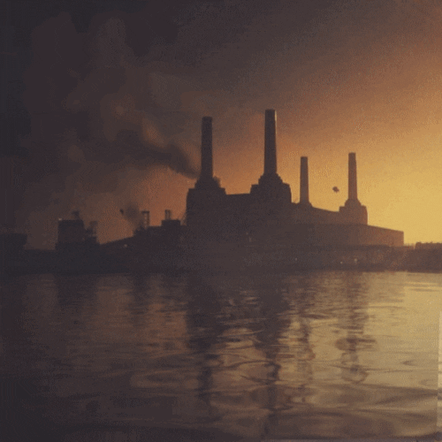 Pink Floyd GIF Find & Share on GIPHY