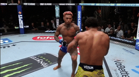 giphy.gif
