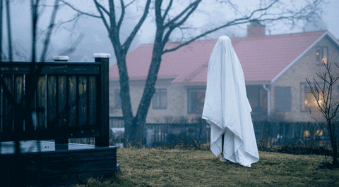 Ghost Sighting GIF - Find & Share on GIPHY