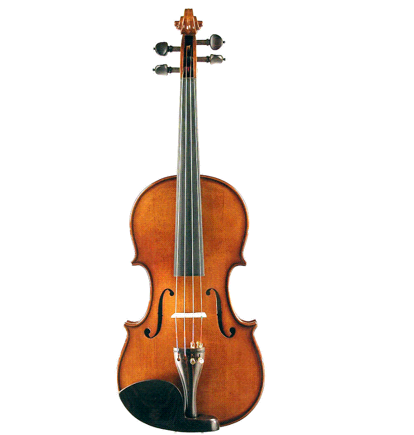 Violin GIFs Find & Share on GIPHY