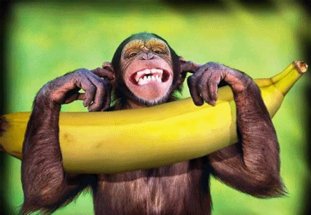 Banana Smile GIFs - Find & Share on GIPHY