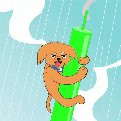 BENI Community GIF 2