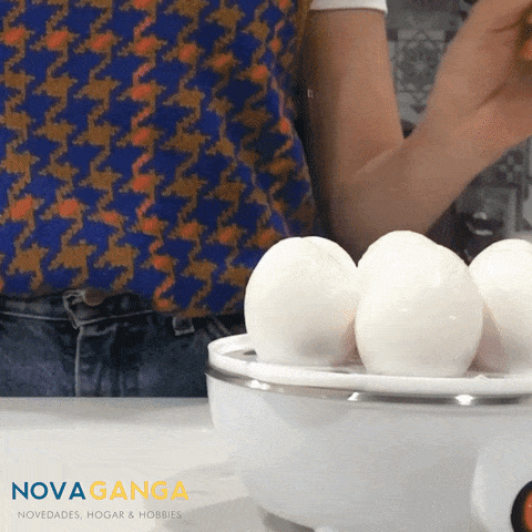Hervidor de Huevos, Huevera Eléctrica, Huevos Cocidos
