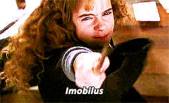 Hermione pointing her wand and saying a spell