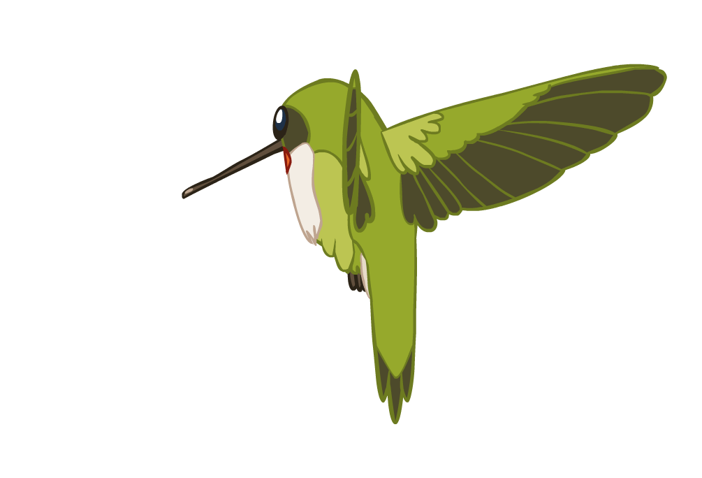 free animated hummingbird clipart - photo #24