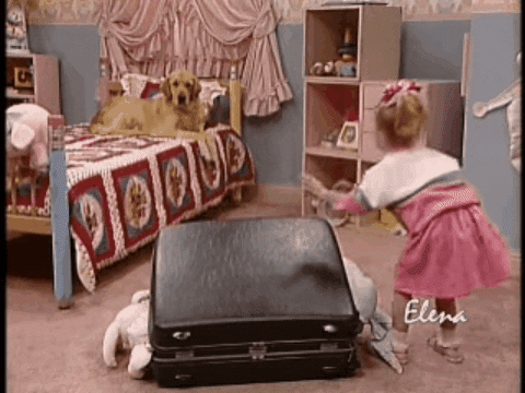 Full House Dog GIF - Find & Share on GIPHY