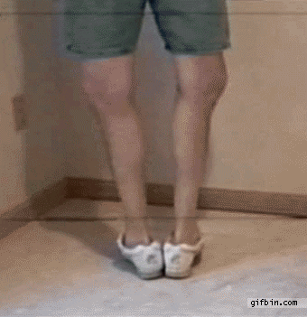 giphy.gif