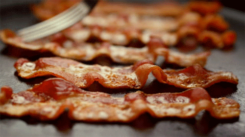 Image result for gif bacon