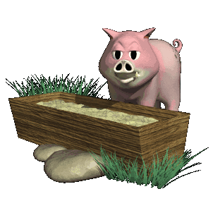 Image result for pigs  trough gif