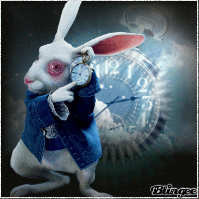Alice GIF - Find & Share on GIPHY
