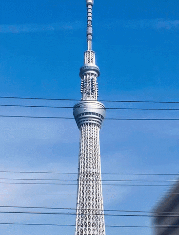 Tokyo GIF - Find & Share on GIPHY