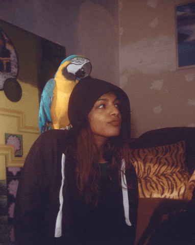 Mia GIF by Jaime Martinez - Find & Share on GIPHY