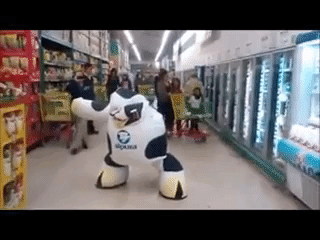 Holy Cow in funny gifs