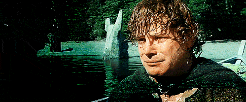 The Lord Of The Rings The Fellowship Of The Ring GIF - Find & Share on