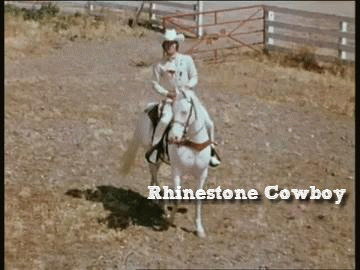 cowboy tumbleweed gif