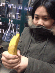 giphy.gif