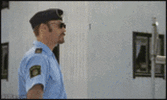 embed gif from licecap embed gif from licecap
