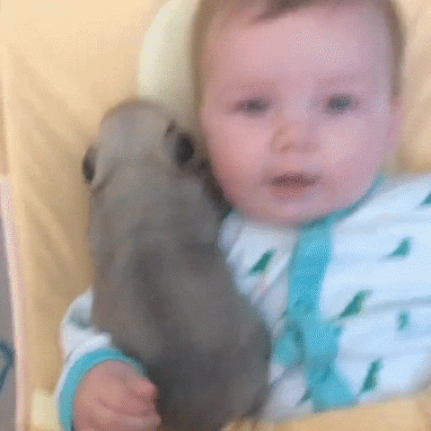 baby enjoys playing with a puppy
