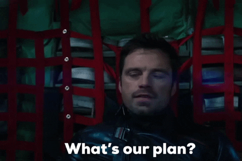 Bucky Barnes (Sebastian Stan): What's our plan?