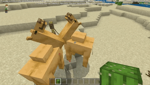 Comment élever des chameaux dans Minecraft