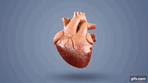 Gif que muestra la colocación de un stent en el corazón