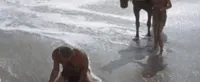 원문 댓글 사진 1