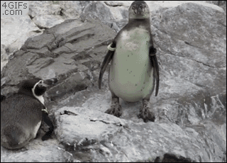source.gif