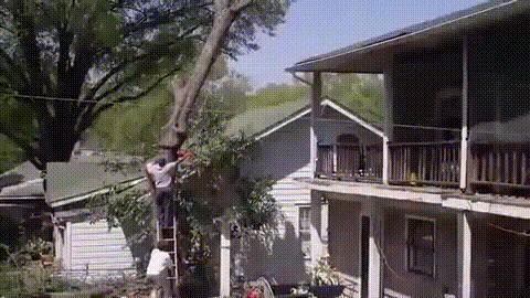 Home Improvement GIF - Find & Share on GIPHY