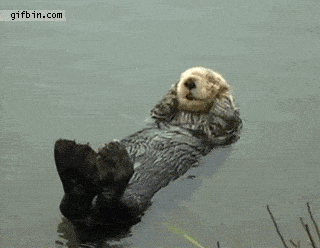 giphy-downsized.gif