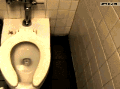 giphy.gif