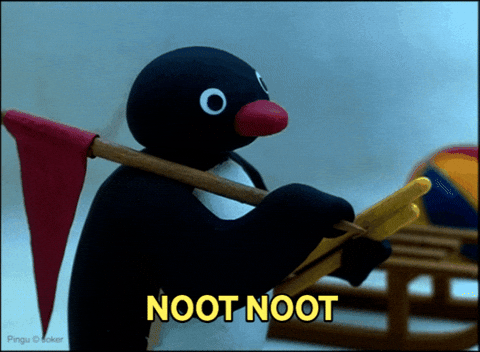 Pingu NOOT NOOT