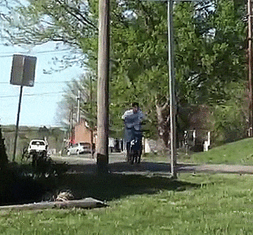 giphy.gif