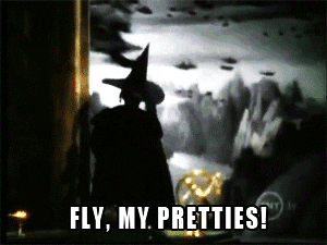 Witch waves at flying monkeys and says fly my pretties fly