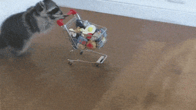 Small dog pushing a miniature shopping cart full of groceries across a floor