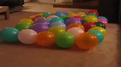 dog in balloons