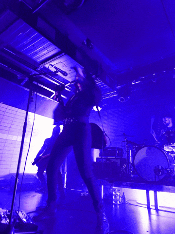 GIF 1