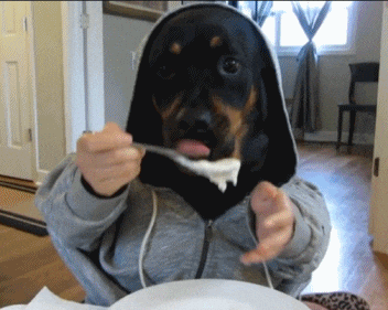 eating hungry lunch dog human