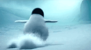 Happy Feet 2 Film GIF - Find & Share on GIPHY