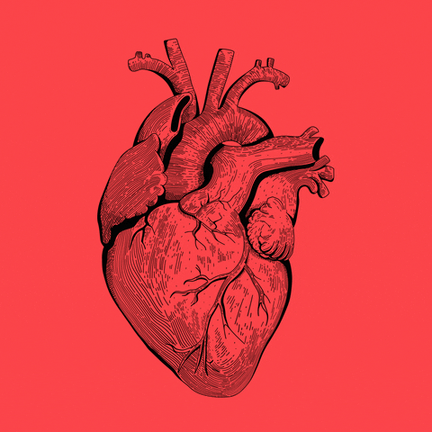 Corazon GIF by FIBRA BRANDING - Find & Share on GIPHY