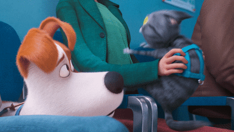 the secret life of pets movie animated gif