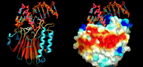 Dna GIF - Find & Share on GIPHY