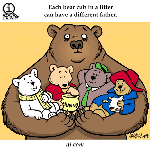 Fun Facts GIF Find & Share on GIPHY