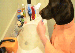 dog brushing