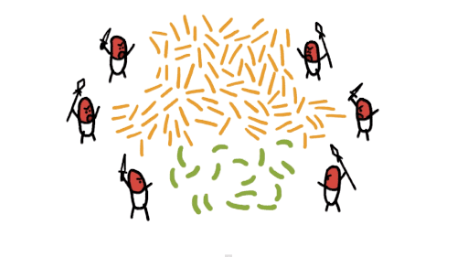 Bacteria GIFs - Find & Share on GIPHY